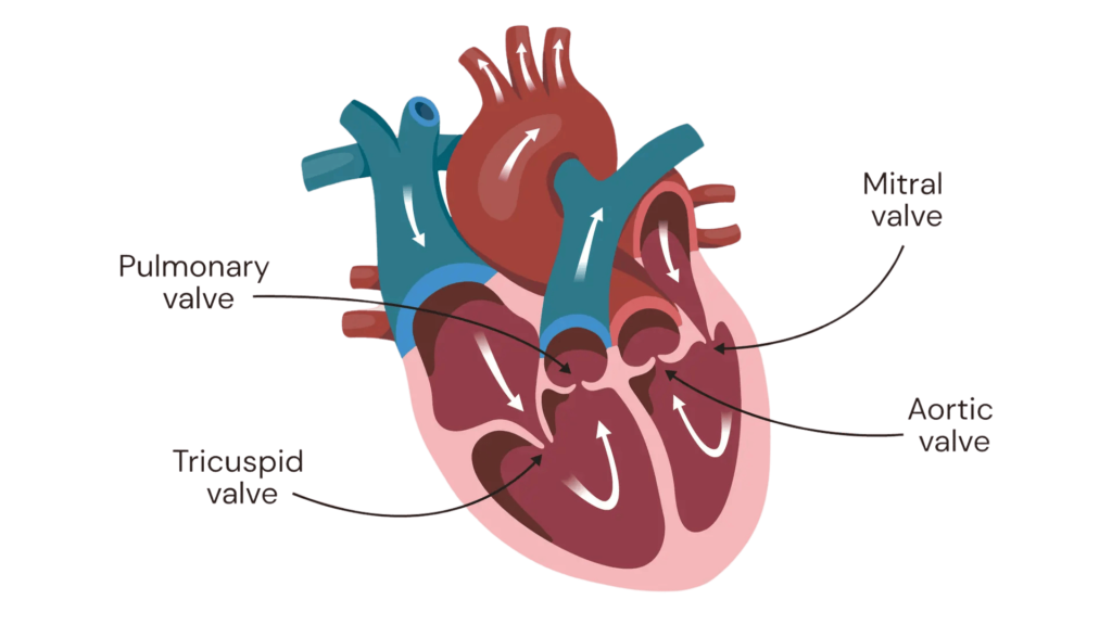 Best Cardiologist in Kolkata
